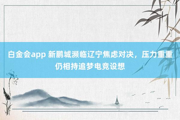 白金会app 新鹏城濒临辽宁焦虑对决，压力重重仍相持追梦电竞设想