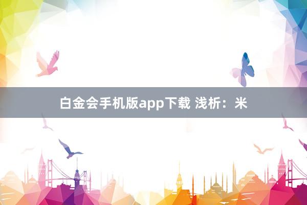 白金会手机版app下载 浅析：米