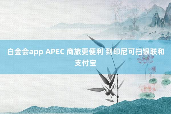 白金会app APEC 商旅更便利 到印尼可扫银联和支付宝