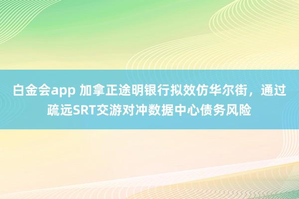 白金会app 加拿正途明银行拟效仿华尔街，通过疏远SRT交游对冲数据中心债务风险