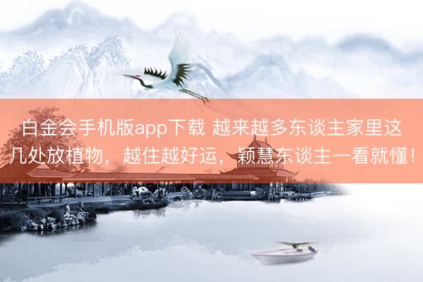 白金会手机版app下载 越来越多东谈主家里这几处放植物，越住越好运，颖慧东谈主一看就懂！