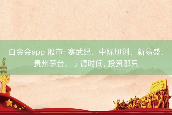 白金会app 股市: 寒武纪、中际旭创、新易盛、贵州茅台、宁德时间， 投资那只