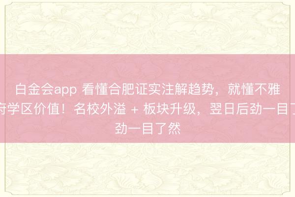白金会app 看懂合肥证实注解趋势，就懂不雅庐府学区价值！名校外溢 + 板块升级，翌日后劲一目了然